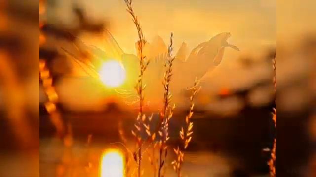 Покой и тишина /музыка Mehdi - Guiding Light. Запись 2015 г./