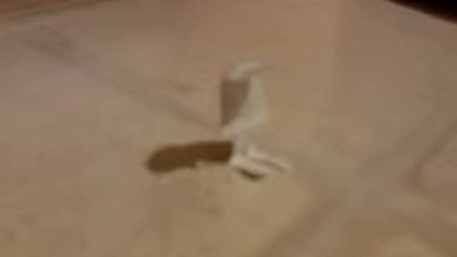 САМОЕ ГРУСТНОЕ ВИДЕО смотреть онлайн