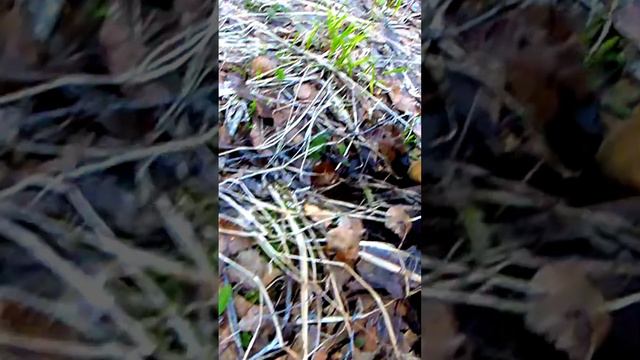 Чем не находка? смотреть онлайн