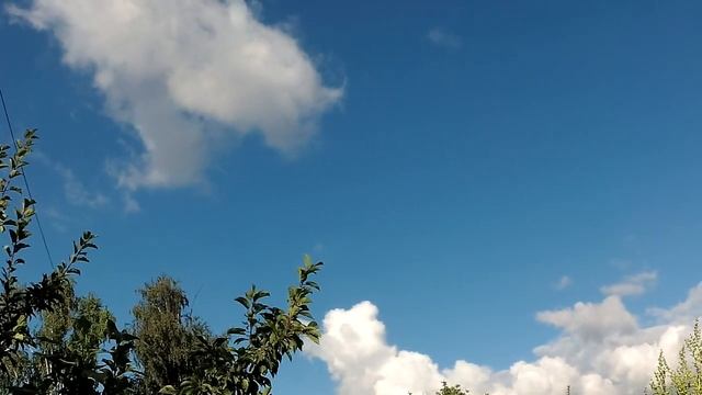 Народный праздник «Матфей Змеесос». 22 августа. Что нужно делать в этот день смотреть онлайн