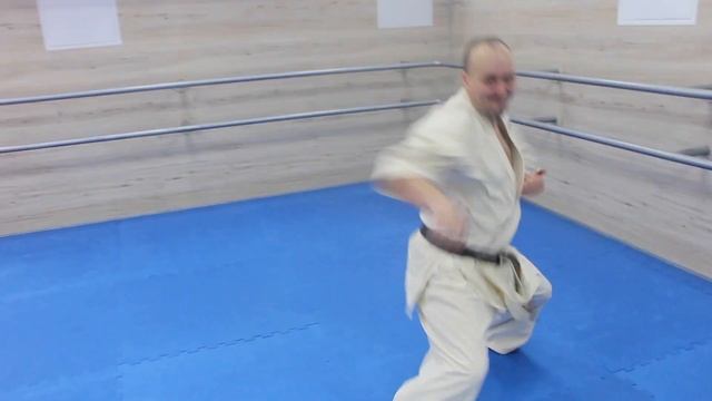 Идо гейко + ката каратэ киокушинкай (6-й кю) смотреть онлайн