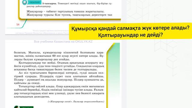 Қазақ тілі 5сынып 4 бөлім 1-2сабақ Жануарлар әлемі#қазақтілі смотреть онлайн