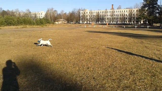 Танга, фрисби смотреть онлайн