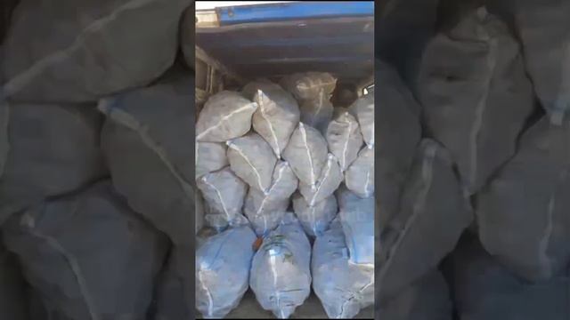 Крым , оптовый рынок Желябовка , 03.08.23 , опт. цены. смотреть онлайн