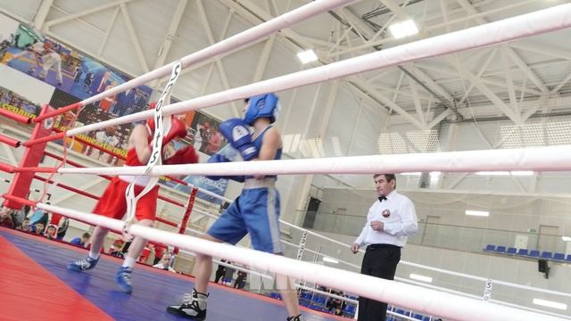 Первенство по боксу Кузбасс 2023 Междуреченск смотреть онлайн