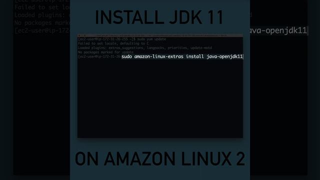 How to Install Java JDK 11 on AWS EC2 Linux 2 Using Yum | No package java-11-openjdk-devel availabl смотреть онлайн