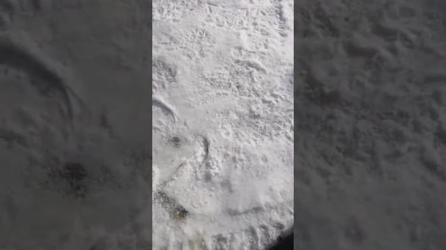 Проставки колесные ZUZ™ на Toyota FJ Cruiser | Златуралзапчасть отзывы смотреть онлайн