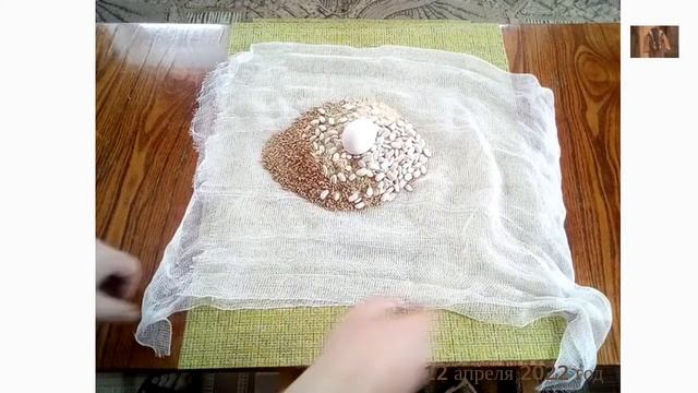 Ежедневник. День 315-й/360-й. Сыр. Сычужный фермент своими руками. смотреть онлайн