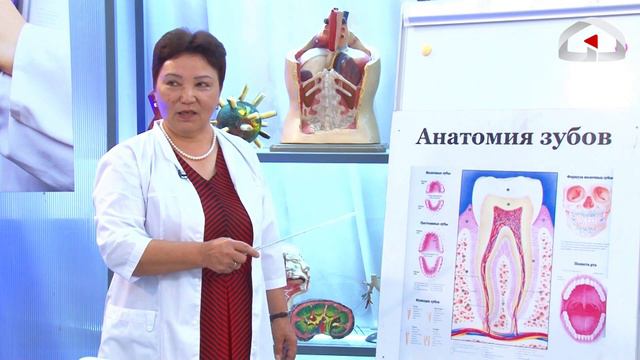 Анонс / Сагыздын тишке зыяндуулугу / Тишке кантип туура кам көрүү керек? / Телеклиника смотреть онлайн