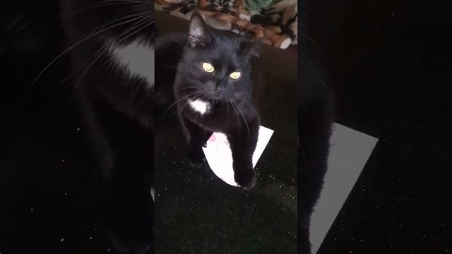 КОГДА ЗАХОТЕЛОСЬ НЕДОРОГО ОТМЕТИТЬ ДЕНЬ РОЖДЕНИЯ смотреть онлайн