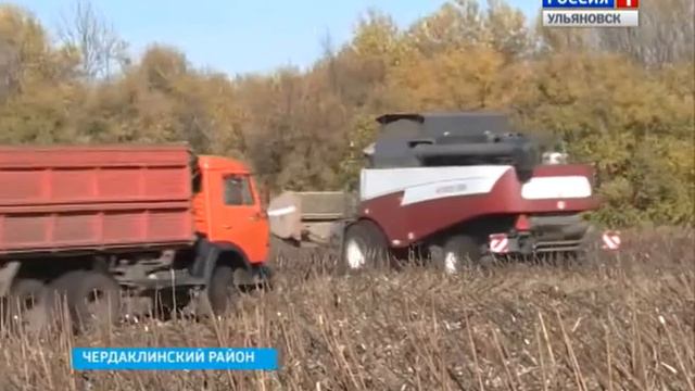 В регионе стартовала уборка подсолнуха смотреть онлайн