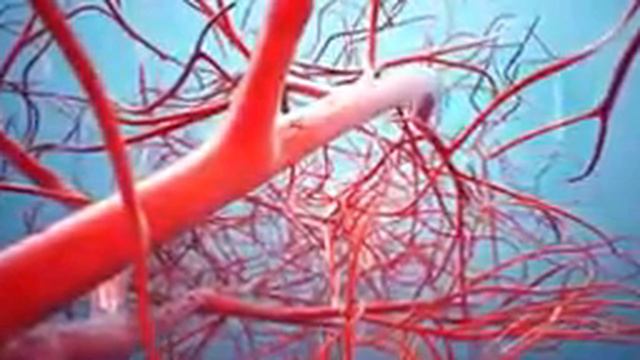 мёд финики уксус инжир оливковое масло... смотреть онлайн