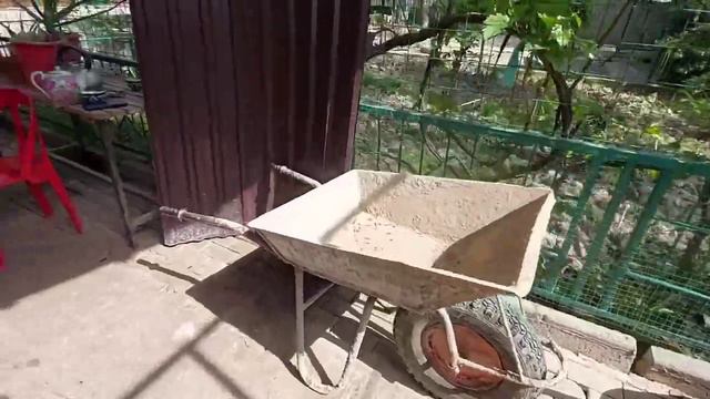 Спасение бездомной собаки. Собака с течкой выброшена хозяевами. Бегала по дорогам дней 10. смотреть онлайн