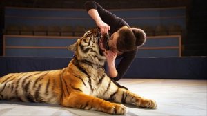 Назарова  Маргарита 2016 смотреть онлайн анонс