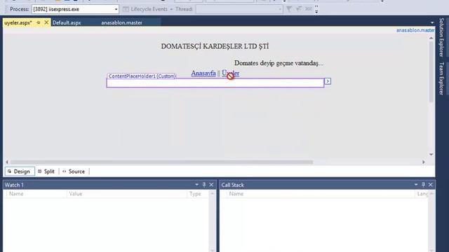 Web Tasarım Dersi - Asp.net Eval Kullanımı (MMK) смотреть онлайн