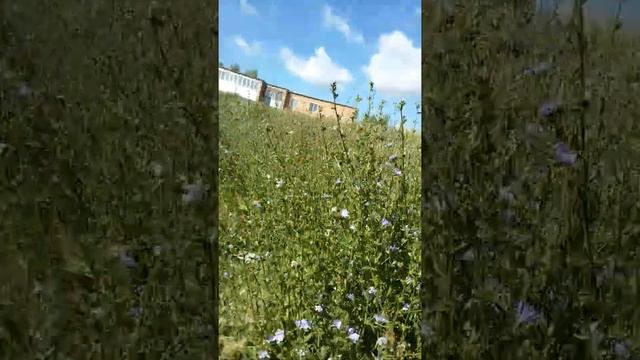 Гаражи около базы смотреть онлайн