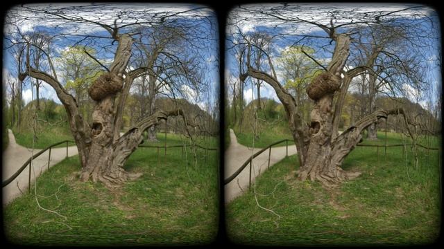 Schloss Pillnitz Slide-Show смотреть онлайн