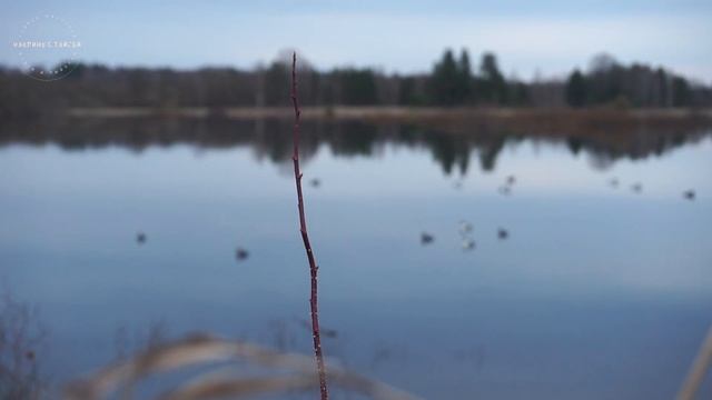 10 ДНЕЙ НА ОСТРОВЕ / ВЕСЕННЯЯ ОХОТА НА СЕЛЕЗНЯ 2020 / ПЕРВЫЕ ТРОФЕИ / Часть 1 смотреть онлайн