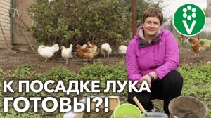 ГОТОВИМ ГРЯДКУ ПОД ЛУК! Вот что добавить в почву перед посадкой!