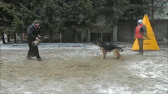 Пришвин, защитный тренинг смотреть онлайн