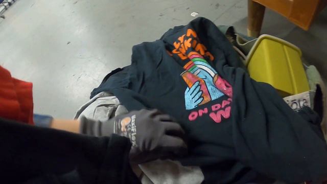 The Goodwill Bins Were Packed With Treasures! смотреть онлайн