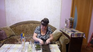 Пикируем многолетнюю ромашку Крейзи Дейзи