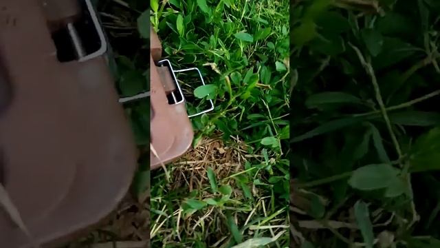 обзор ключей папы смотреть онлайн