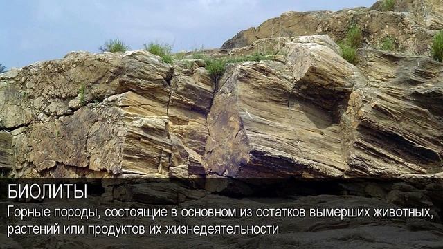 Биолиты. Толковый Видеословарь русского языка смотреть онлайн