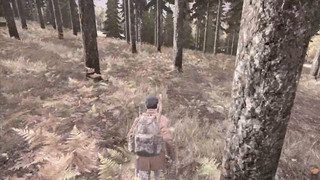 Let's Play Together DayZ Standalone #123 Überraschungsangriff [German][Onkel Bob] смотреть онлайн