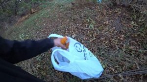 Как Поймать ФАЗАНА. Самая Простая ЛОВУШКА "Пирамида"