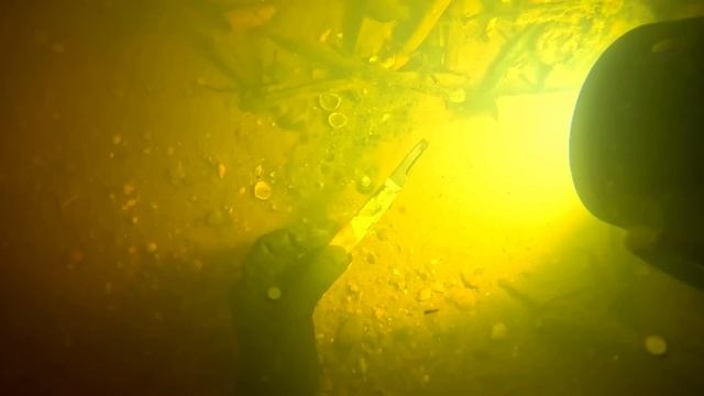 Discovering Hidden Weapons: Scuba Diving for Dangerous Finds! смотреть онлайн