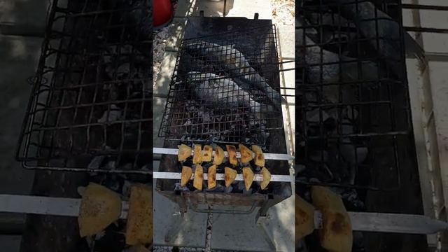 Сибас и Дорадо на углях смотреть онлайн