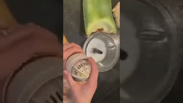 Aloe Vera Barbadensis Miller. Wie werden Aloe Vera Blätter geschnitten und paar Ideen für Getränke смотреть онлайн