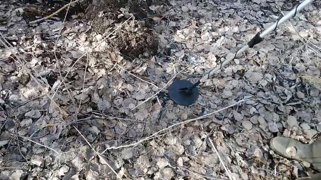 MD4030 - ПОИСК МОНЕТ! Я очень доволен!