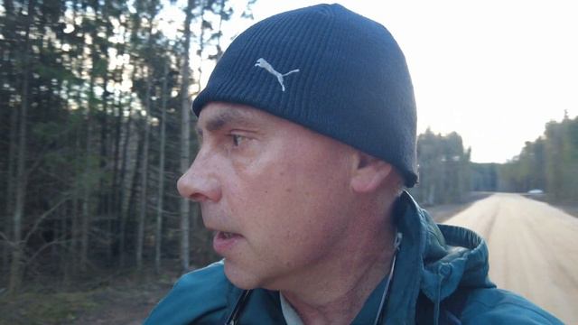 Лес 39 Крево Восток-2. 5 ноября 2021 года. Утро смотреть онлайн