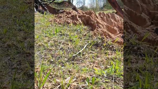 Дикие осы смотреть онлайн