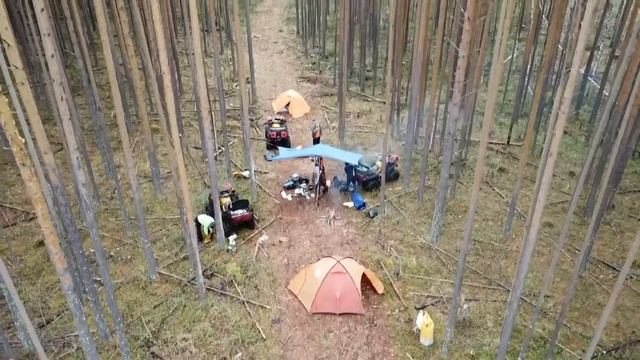 Маршрут выходного дня "Болота реки Шиш-2018" смотреть онлайн