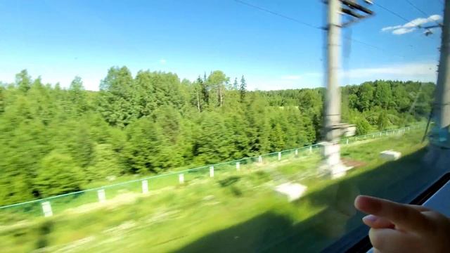 Влог. Высокоскоростной электропоезд Сапсан Москва - Санкт-Петербург. смотреть онлайн