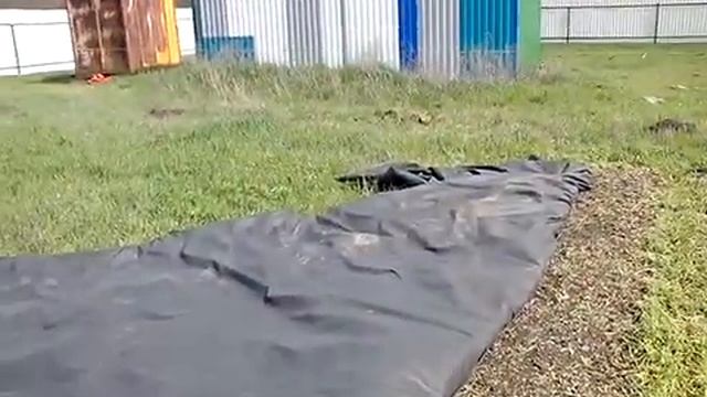 Первая обработка грядок