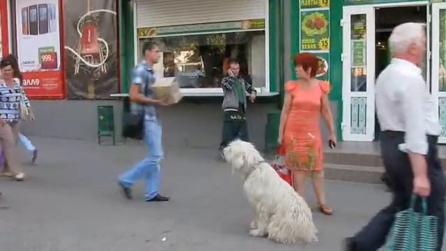 подготовка к соревнованиям по ВН, Масяня Мешковская