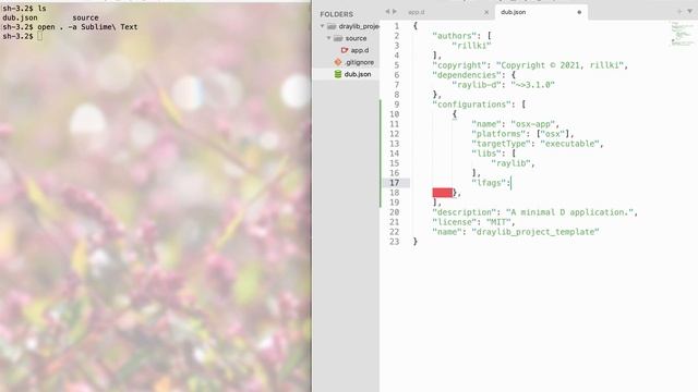 How to set up D/Raylib project on MacOS, Linux and Windows смотреть онлайн