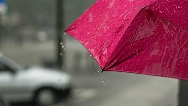 Когда родители сбагрили бабушку в дом престарелых, внучка ошеломила своим поступком смотреть онлайн
