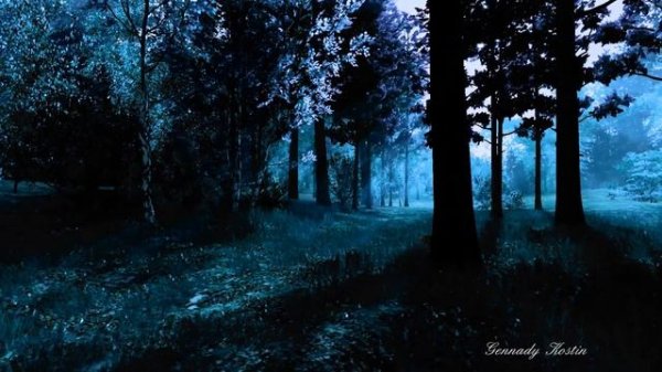 4K Мистический лес Mystical forest