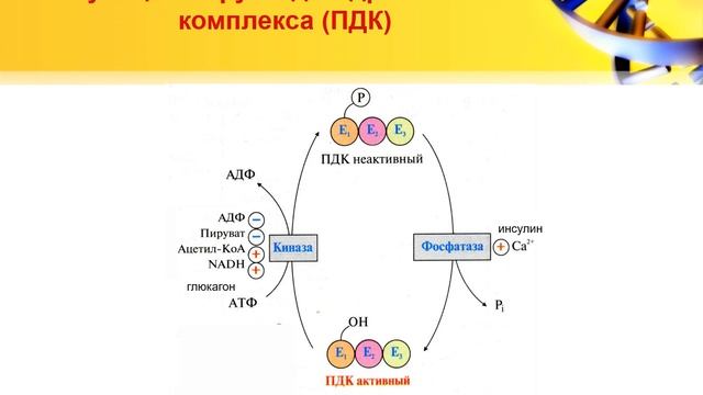 Excel для налогового учёта и отчётности