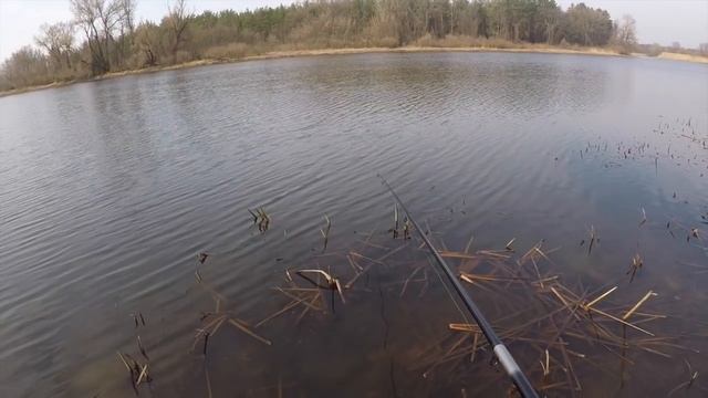 Огромные караси ВЕСНОЙ / Рыбалка на спиннинг / Весенний жор смотреть онлайн