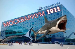МОСКВАРИУМ на ВДНХ..Рай не только для детей?...Экскурсия на все 100 % !