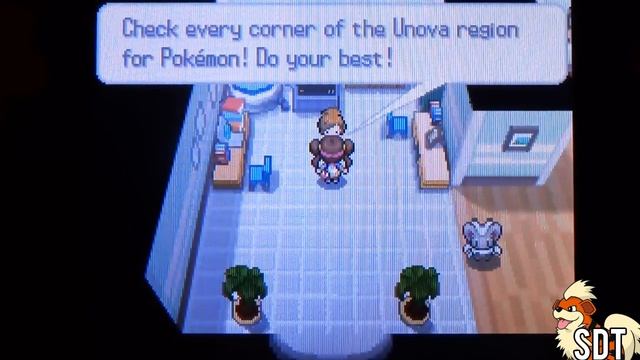 How to Get - Super Rod - Pokemon Black 2 and White 2 смотреть онлайн