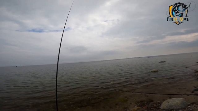 Рыбалка на море с берега | Бомбарда (Сбирулино) | Сарган. смотреть онлайн