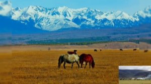 Тоонто нютаг Бурятская песня