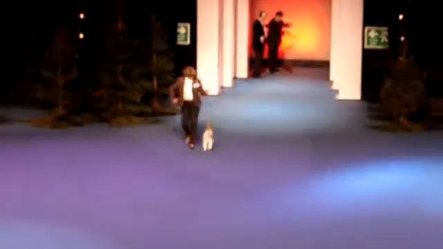 Chic Choix HW_0001.wmv смотреть онлайн